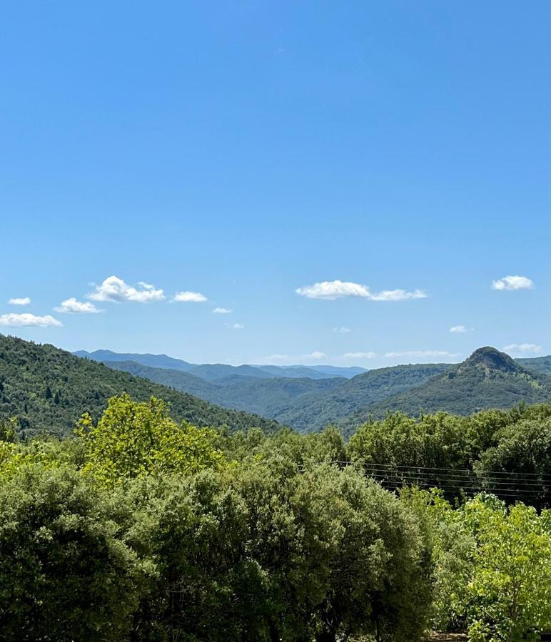 Panthoron Tzoumerka Vourgareli Buitenkant foto