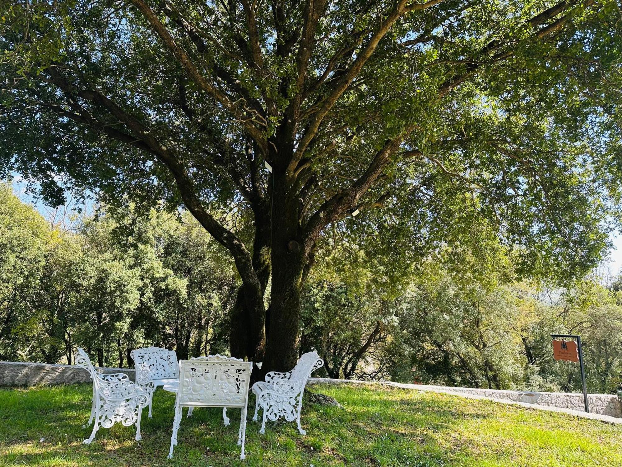 Panthoron Tzoumerka Vourgareli Buitenkant foto